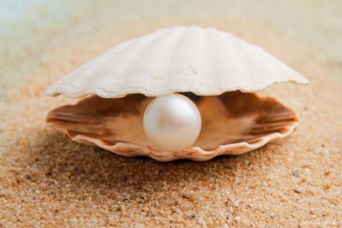 China pearl jewelry manufacturer