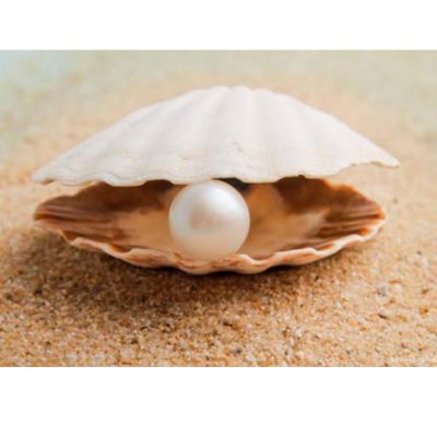 China pearl jewelry manufacturer