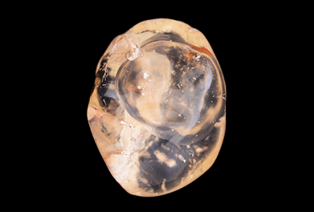 Mexican Opal with Large Fluid Inclusion